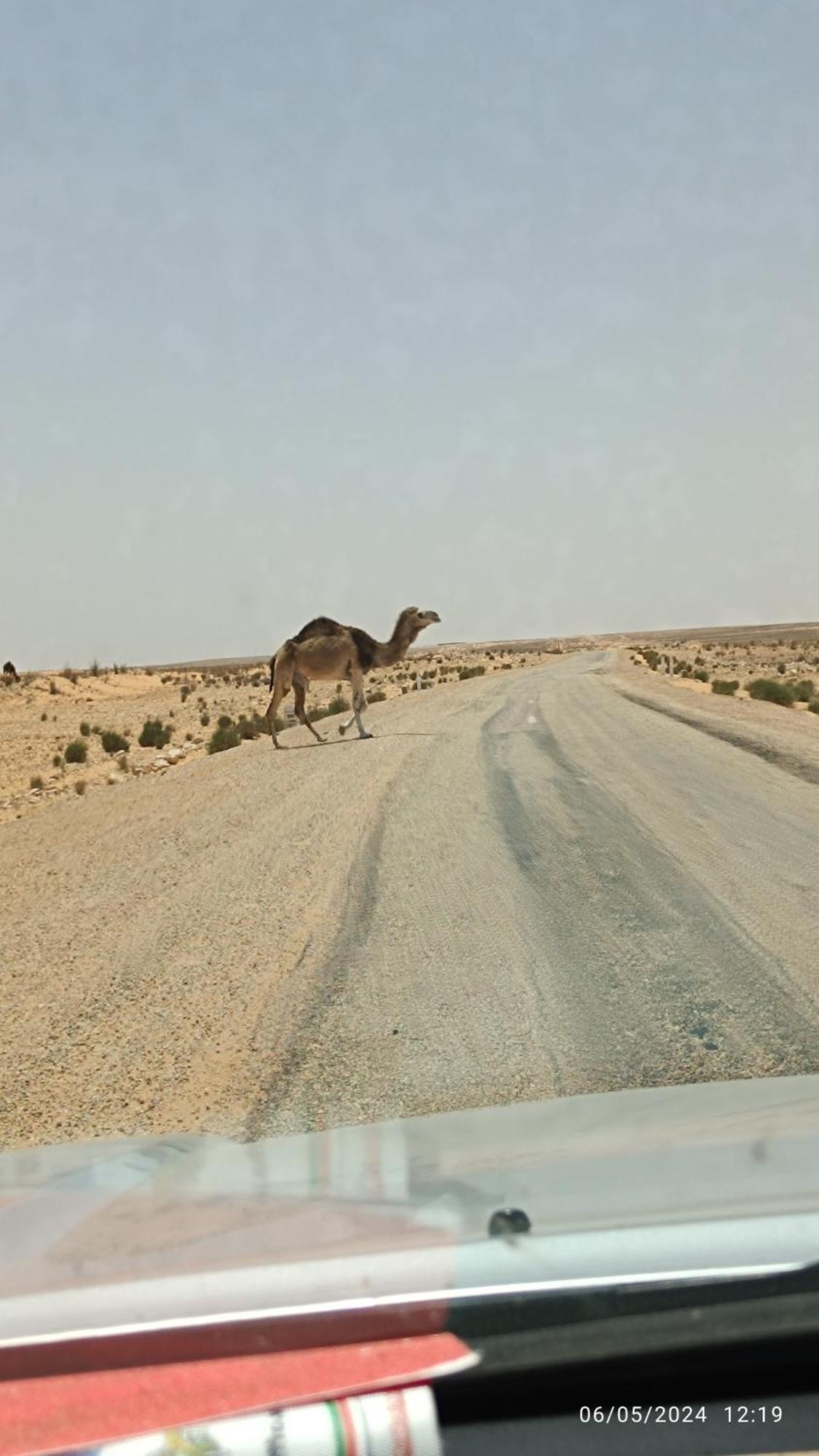 Dar Lagune Djerba Vue De Mer Al Haddadah Exteriér fotografie