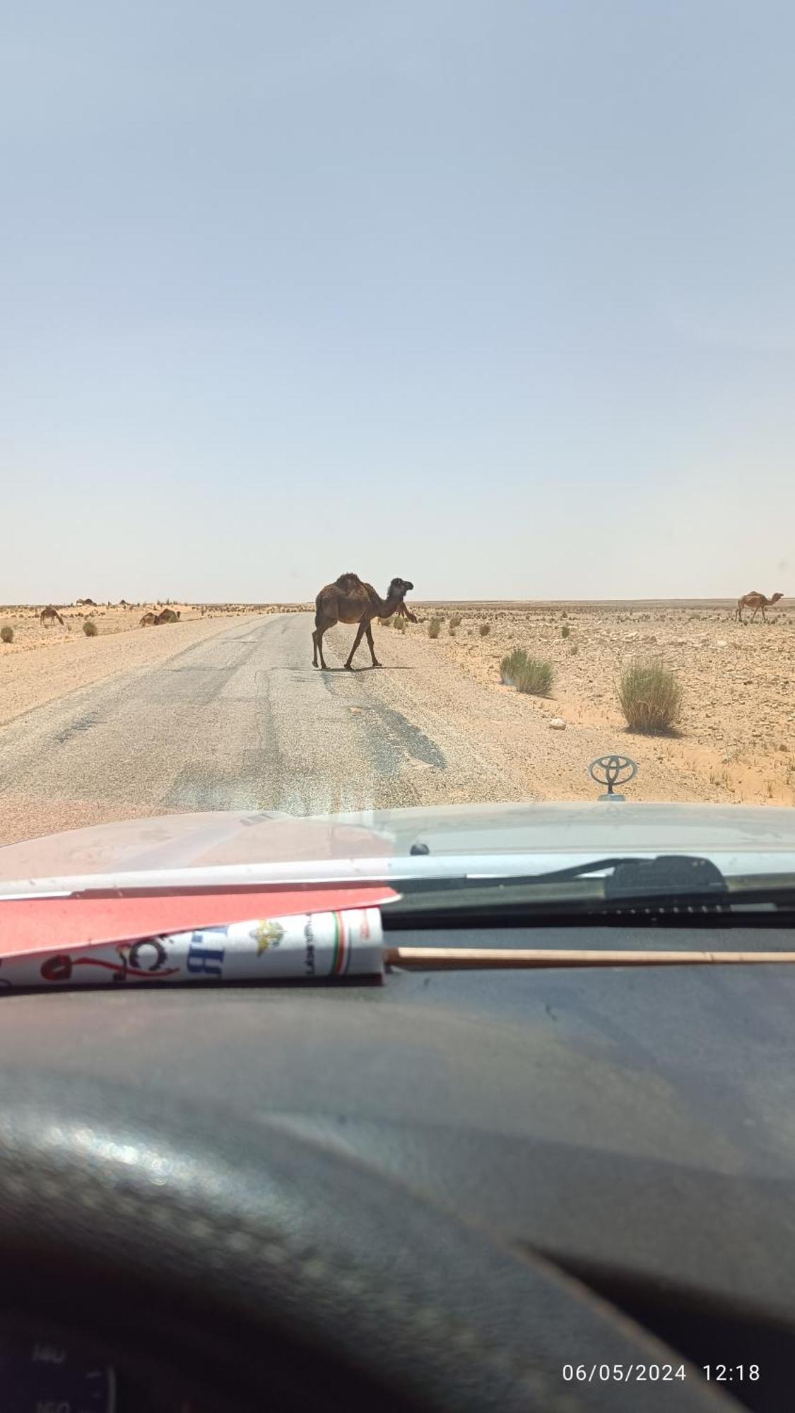Dar Lagune Djerba Vue De Mer Al Haddadah Exteriér fotografie