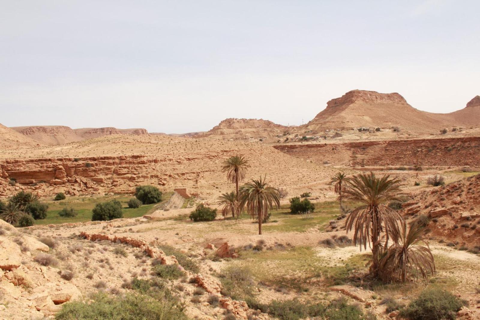 Dar Lagune Djerba Vue De Mer Al Haddadah Exteriér fotografie