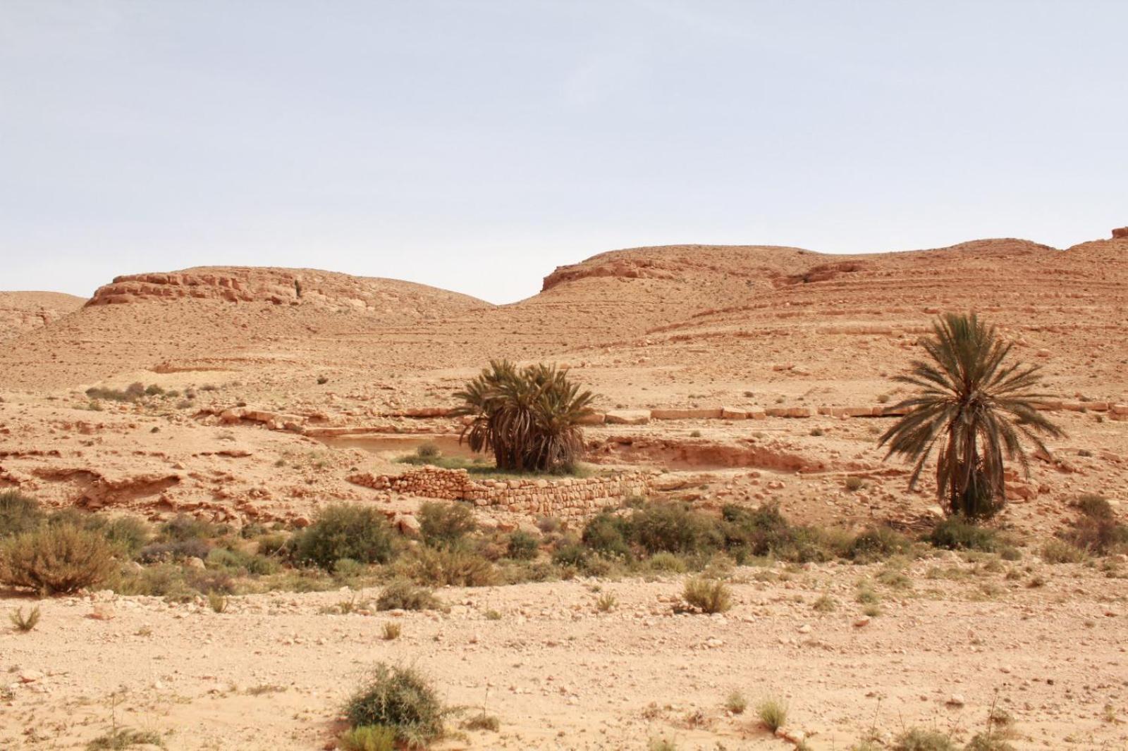 Dar Lagune Djerba Vue De Mer Al Haddadah Exteriér fotografie