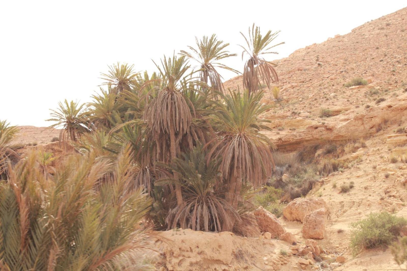 Dar Lagune Djerba Vue De Mer Al Haddadah Exteriér fotografie